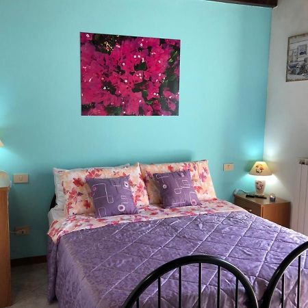 דסנזאנו דל גארדה Oasi Di Paradiso - Comfy Private Apartment On Ground Floor With Terrace מראה חיצוני תמונה