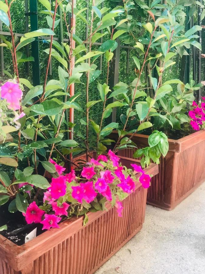 דסנזאנו דל גארדה Oasi Di Paradiso - Comfy Private Apartment On Ground Floor With Terrace מראה חיצוני תמונה