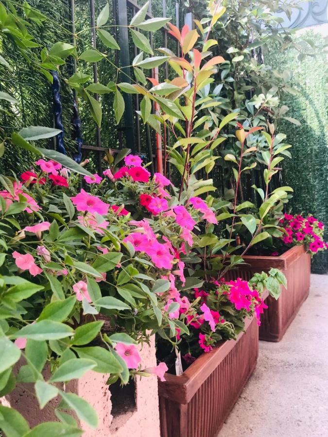 דסנזאנו דל גארדה Oasi Di Paradiso - Comfy Private Apartment On Ground Floor With Terrace מראה חיצוני תמונה